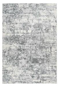 Lalee Kusový koberec Paris 503 Silver Rozměr koberce: 80 x 150 cm