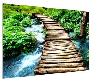 Obraz dřevěného chodníčku přes řeku (100x70 cm)