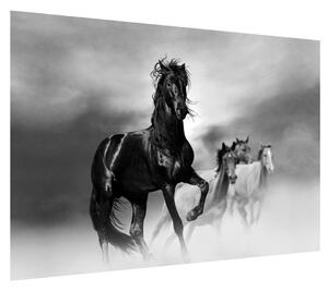 Obraz koně (100x70 cm)