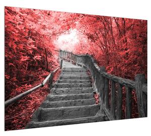 Obraz schodů vedoucích krajinou (100x70 cm)