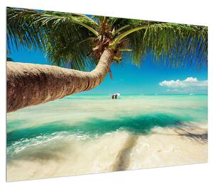 Obraz čistého moře s palmou (100x70 cm)