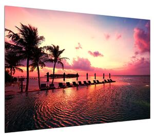 Obraz pláže s palmami a sluncem (100x70 cm)