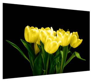 Obraz žlutých tulipánů (100x70 cm)