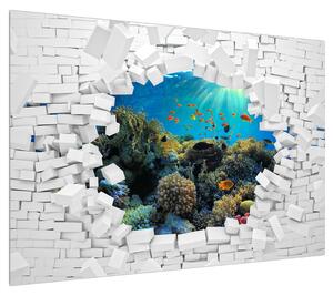 Obraz podmořského světa (100x70 cm)