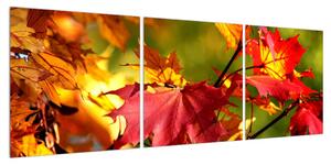 Obraz podzimních listů (120x40 cm)