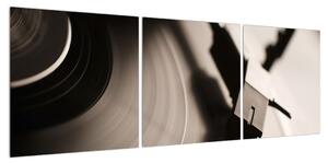 Detailní obraz gramofonové desky (120x40 cm)