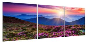 Obraz horské rozkvetlé krajiny (120x40 cm)