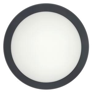 LED Stropní svítidlo se senzorem pohybu LED/20W/230V 3000/4000/6500K IP54 antr