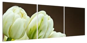 Obraz tulipánů (120x40 cm)