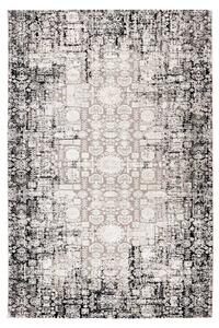 Obsession Kusový koberec My Phoenix 120 Grey Rozměr koberce: 200 x 290 cm