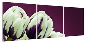 Obraz tulipánů (120x40 cm)