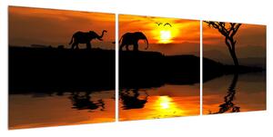 Obraz africké krajiny se slonem (120x40 cm)