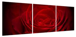 Obraz červené růže (120x40 cm)