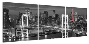 Obraz Brooklynského mostu (120x40 cm)