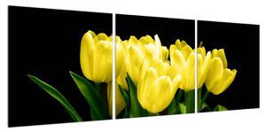 Obraz žlutých tulipánů (120x40 cm)