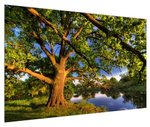 Obraz stromu u jezera (120x80 cm)
