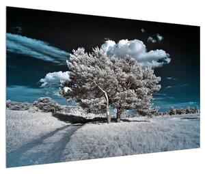 Obraz sněhobílého stromu (120x80 cm)