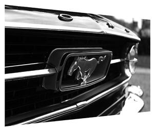 Detailní obraz automobilu značky Mustang (120x80 cm)