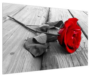 Obraz rudé růže (120x80 cm)