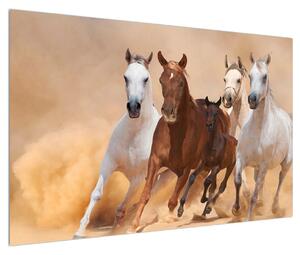 Obraz koní (120x80 cm)
