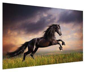 Obraz koní (120x80 cm)