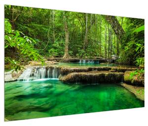 Obraz průzračného lesního toku (120x80 cm)