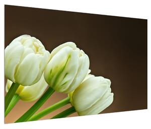 Obraz tulipánů (120x80 cm)
