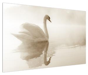 Obraz labutě (120x80 cm)