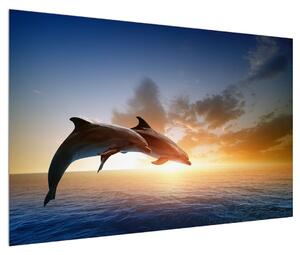 Obraz delfínů (120x80 cm)
