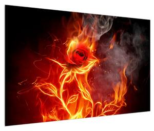 Obraz růže v ohni (120x80 cm)