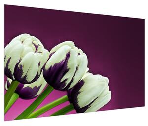 Obraz tulipánů (120x80 cm)
