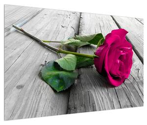 Obraz růže (120x80 cm)