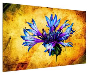 Obraz květu chrpy (120x80 cm)