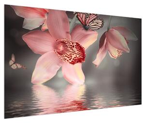 Obraz květů a motýla (120x80 cm)