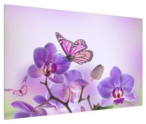 Obraz motýla na květech orchideje (120x80 cm)