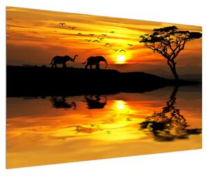 Obraz africké krajiny se slonem (120x80 cm)
