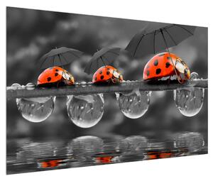 Obraz slunéček sedmitečných s deštníky (120x80 cm)