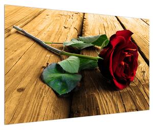 Obraz růže (120x80 cm)