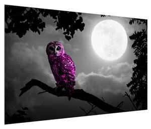Obraz noční sovy (120x80 cm)