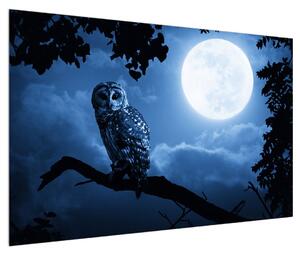 Obraz noční sovy (120x80 cm)