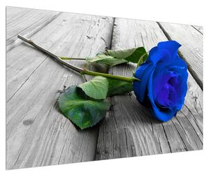 Obraz modré růže (120x80 cm)