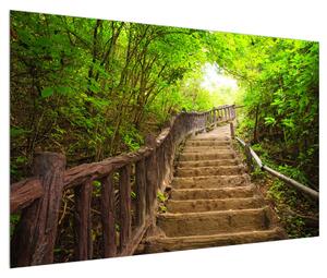 Letní obraz schodů v přírodě (120x80 cm)