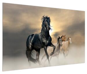 Obraz koně (120x80 cm)