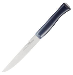 MujNuz.cz Opinel N°220 Carving knife Intempora