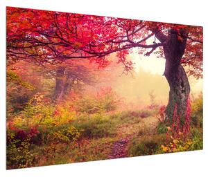 Obraz podzimní lesní krajiny (120x80 cm)