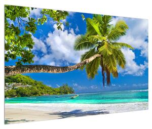 Obraz palmy a pláže (120x80 cm)