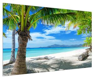Obraz palmy a pláže (120x80 cm)