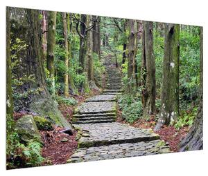Obraz kamenných schodů v lese (120x80 cm)