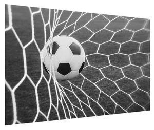 Fotbalový míč v síti (120x80 cm)