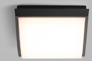 LED2 Lighting LED2 5130834 LED venkovní stropní svítidlo Quado 1x10W | 800lm | 3000K | IP54